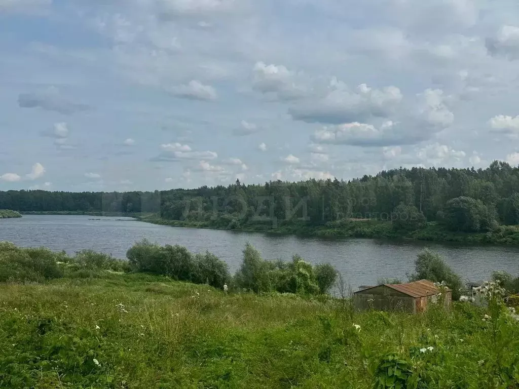 Участок в Новгородская область, Новгородский район, Савинское с/пос, ... - Фото 1
