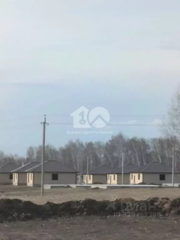Участок в Новосибирская область, Новосибирский район, Морской ... - Фото 1