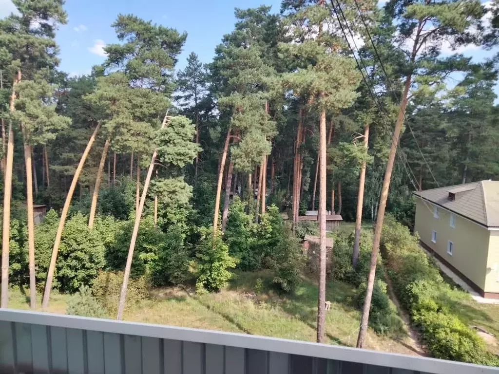 2-к кв. Московская область, Коломна городской округ, д. Щурово, ... - Фото 1