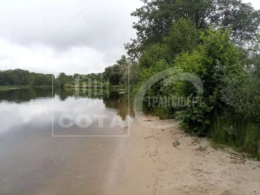 Участок в Воронежская область, Рамонский район, с. Айдарово  (80.0 ... - Фото 1