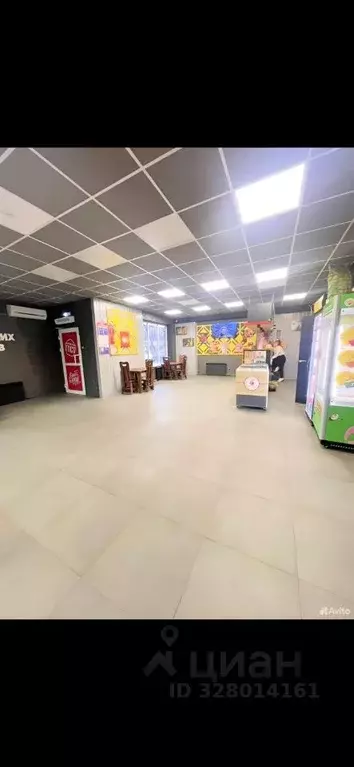 Помещение свободного назначения в Брянская область, Брянск ул. ... - Фото 2