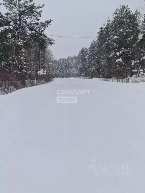 Участок в Коми, Сысольский муниципальный район, Визинга муниципальное ... - Фото 2