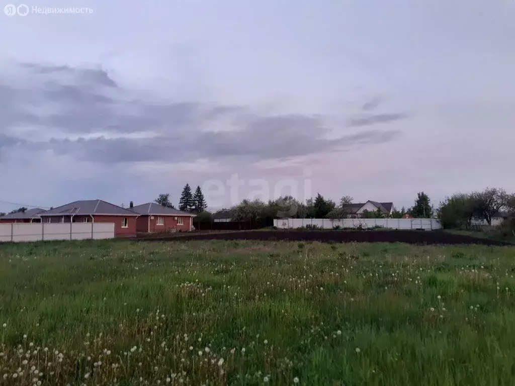 Участок в Липецкий муниципальный округ, село Пады (Ленинский ... - Фото 2