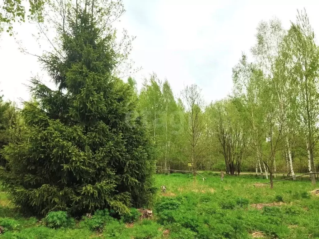 Участок в Владимирская область, Покров городской округ, д. Мячиково ... - Фото 1