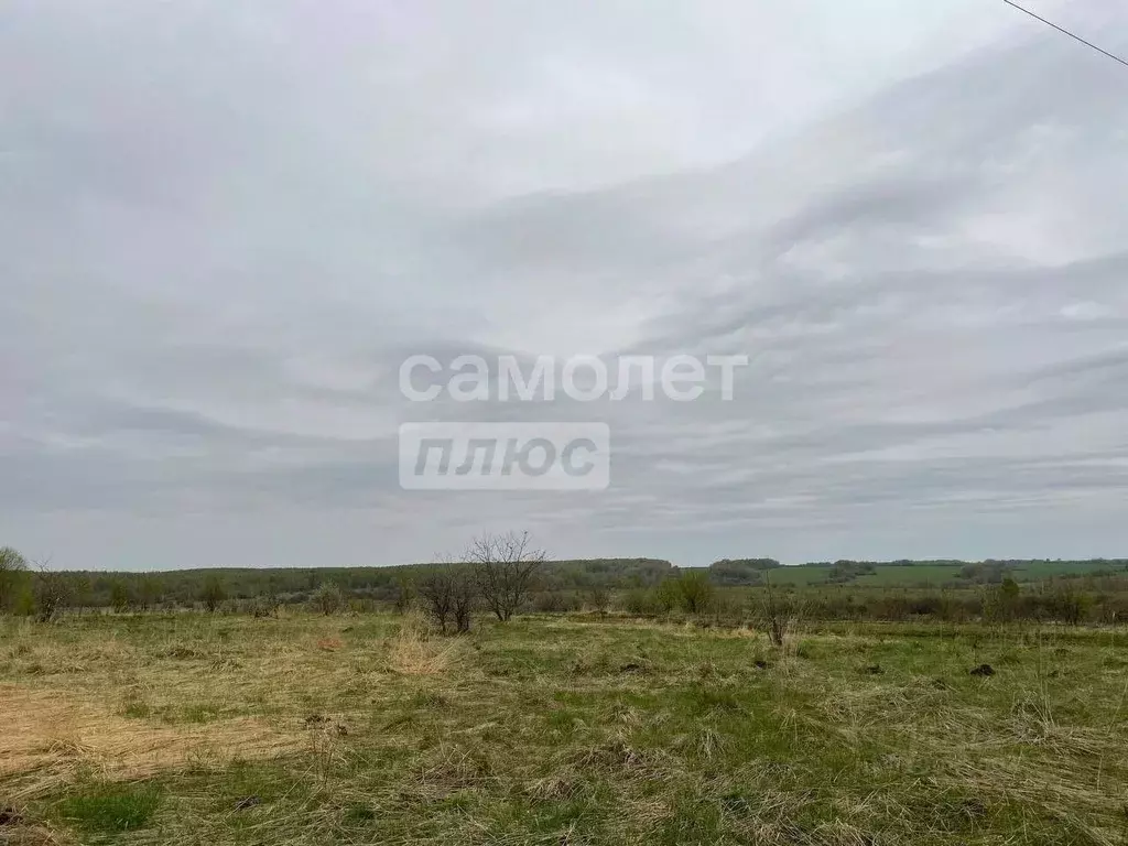 Участок в Ярославская область, Переславль-Залесский муниципальный ... - Фото 1
