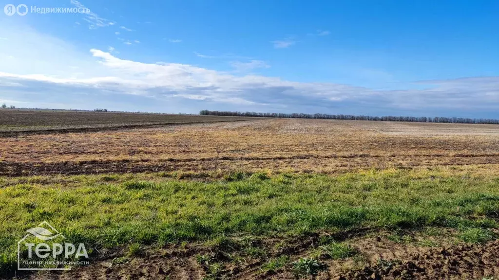 Участок в Сакский район, Ромашкинское сельское поселение, село Колоски ... - Фото 0