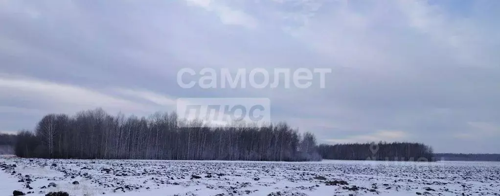 Участок в Тюменская область, Тюменский муниципальный округ, д. Елань, ... - Фото 1