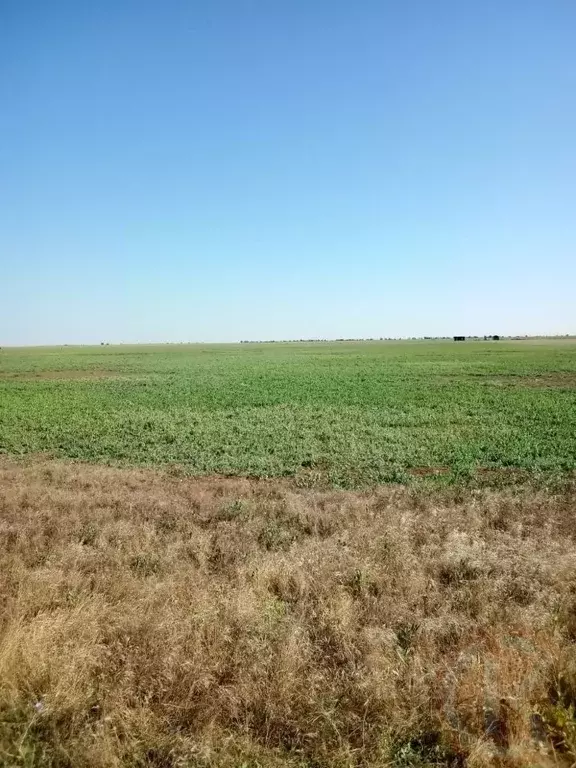 Участок в Крым, Сакский район, Ромашкинское с/пос, с. Колоски  (6.0 ... - Фото 2