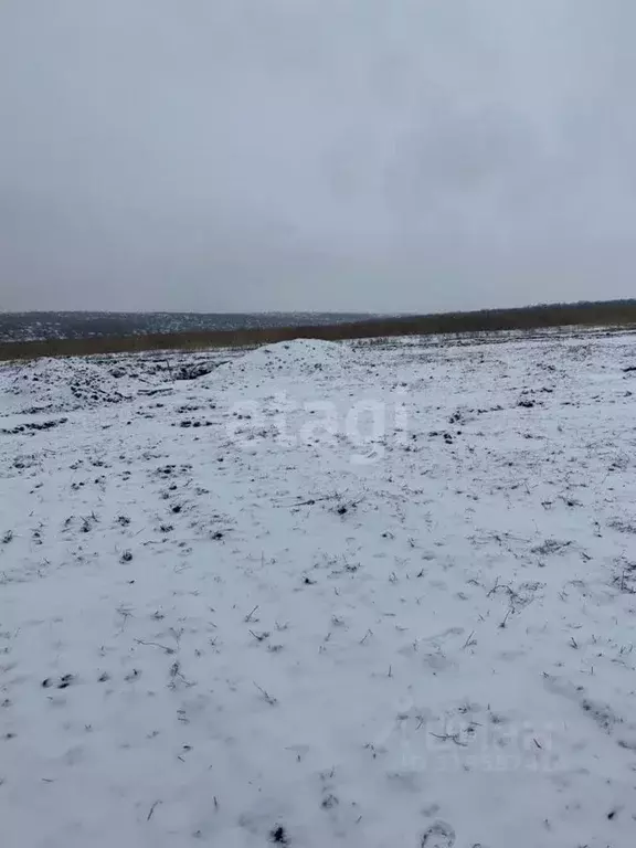Участок в Белгородская область, Белгородский район, Головинское с/пос, ... - Фото 0