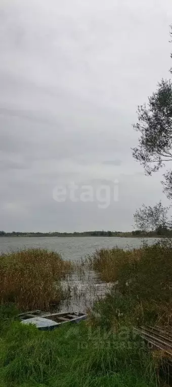 Участок в Псковская область, Палкинская волость, д. Бехтерево  (15.0 ... - Фото 2