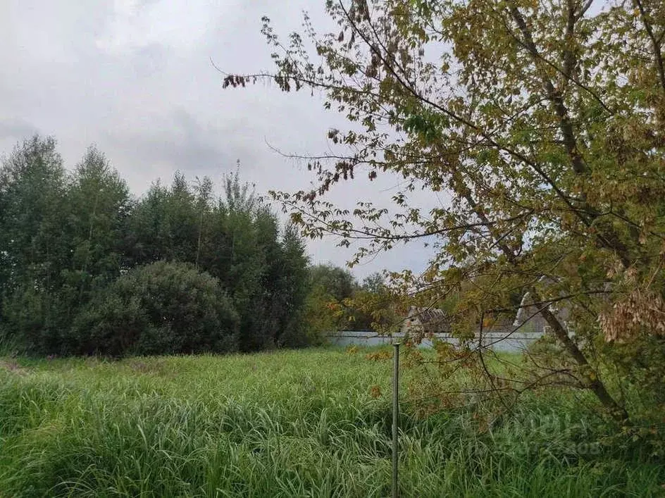 Участок в Воронежская область, с. Новая Усмань ул. Набережная (12.0 ... - Фото 0