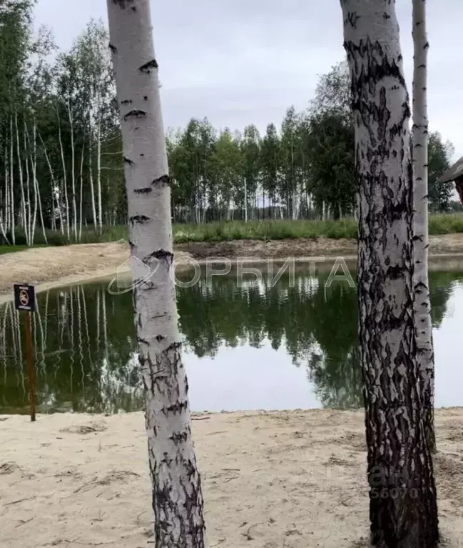 Участок в Тюменская область, Нижнетавдинский муниципальный округ, 7 ... - Фото 1