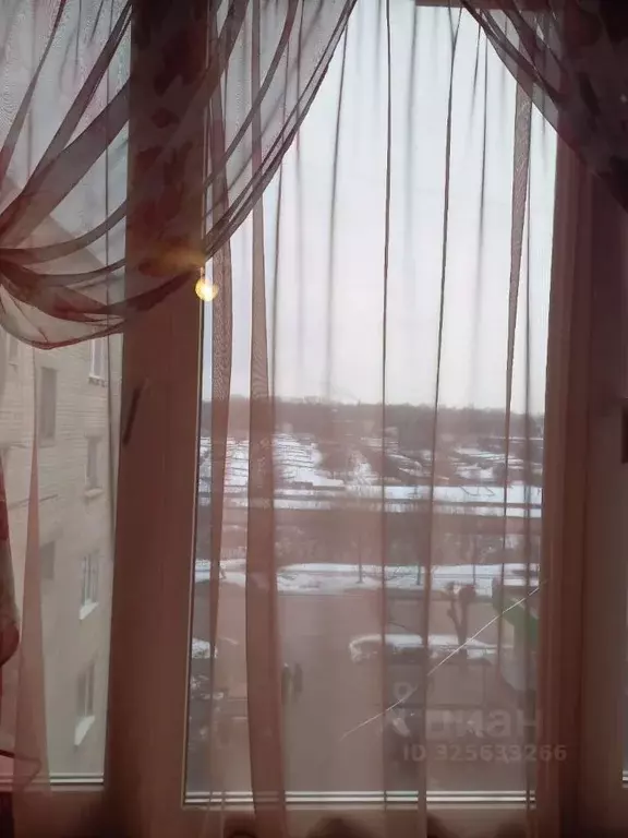 Комната Тамбовская область, Тамбов ул. Новикова-Прибоя, 51к2 (13.0 м) - Фото 2