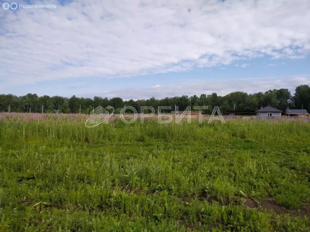 Участок в Тюменский район, село Каменка (40 м) - Фото 1