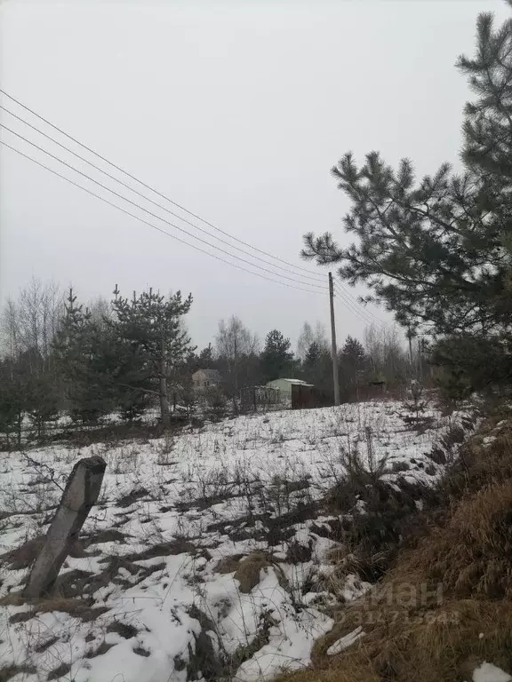 Участок в Нижегородская область, Володарский муниципальный округ, ... - Фото 0