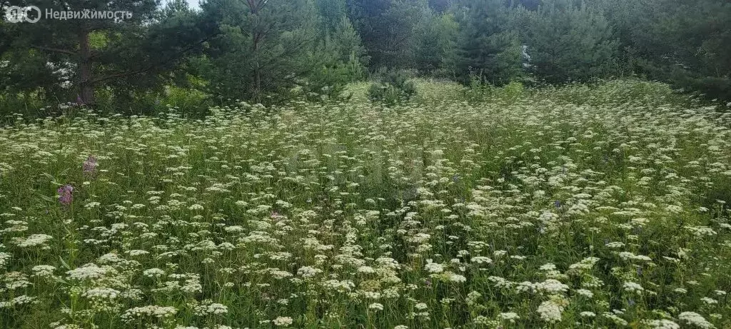 Участок в Нижний Тагил, Родная улица (6 м) - Фото 1