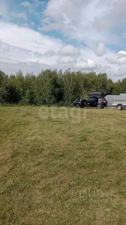 Участок в Новосибирская область, Коченевский район, Недра-3 садовое ... - Фото 0