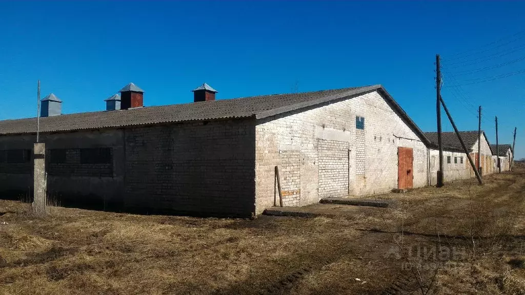 Помещение свободного назначения в Калининградская область, Славский ... - Фото 0