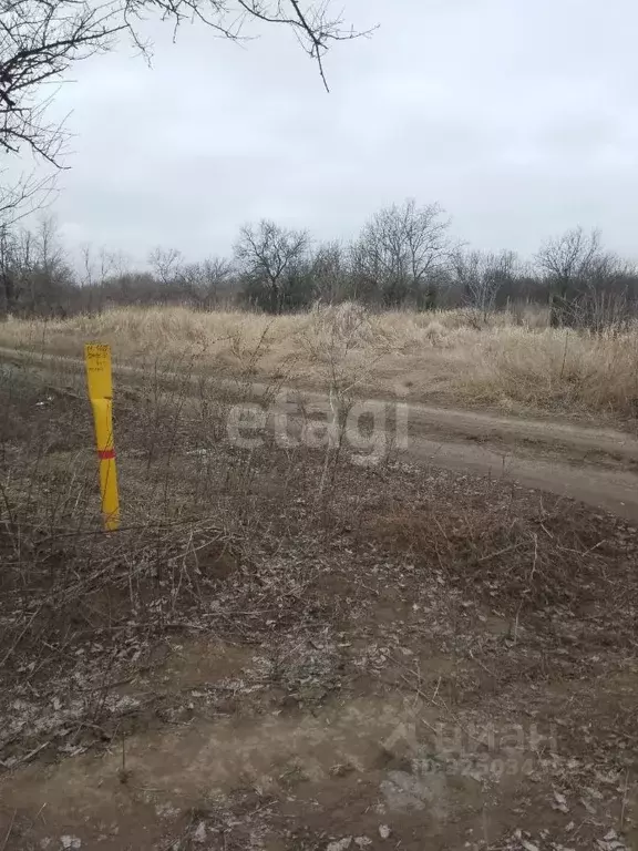 Участок в Ростовская область, Азов Азовский район, Мичуринец-3 мкр,  ... - Фото 1