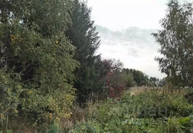 Участок в Московская область, Дмитровский муниципальный округ, д. ... - Фото 1