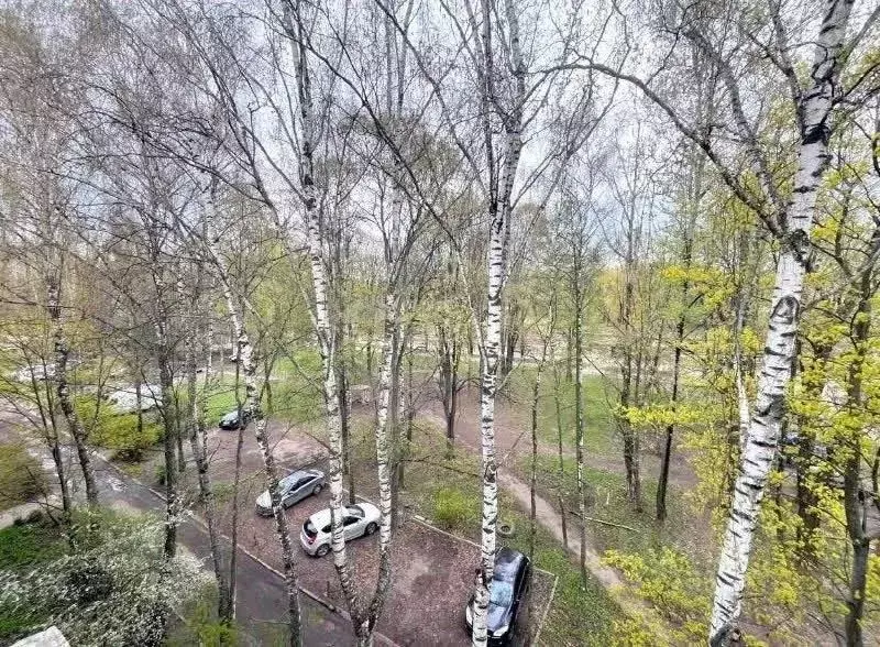 2-к кв. Ярославская область, Ярославль ул. Блюхера, 56 (44.5 м) - Фото 2