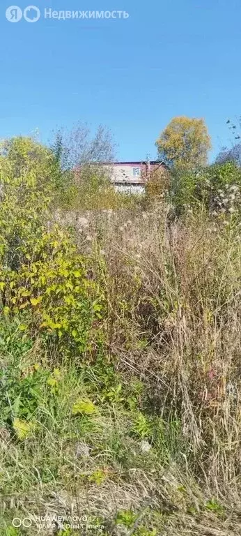 Участок в Пермский край, Лысьвенский муниципальный округ, деревня ... - Фото 1