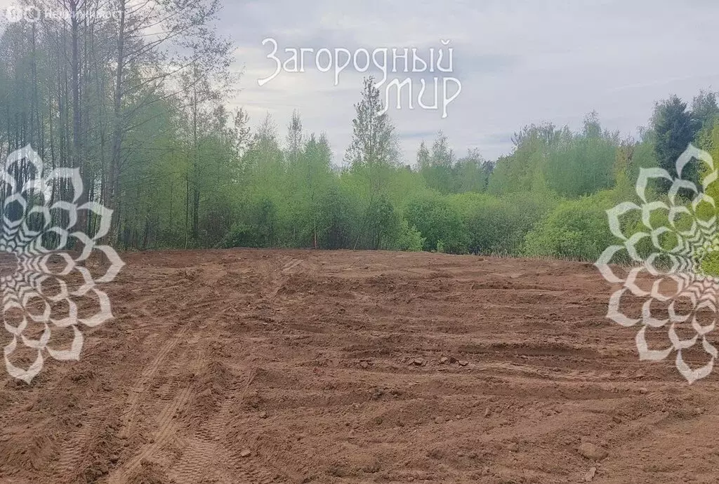 Участок в Балашиха, СНТ Безменково-2 (10 м) - Фото 1