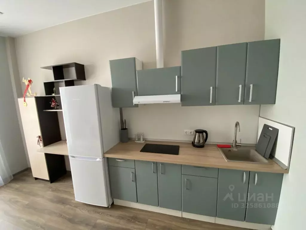 1-к кв. Московская область, Домодедово городской округ, д. Юсупово ул. ... - Фото 2