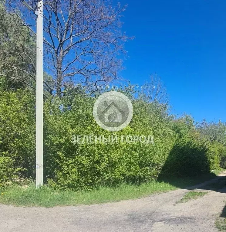 Участок в Калининградская область, Пионерский Ягодка СНТ,  (6.0 сот.) - Фото 1