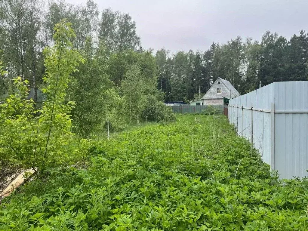 Участок в Московская область, Щелково городской округ, д. Серково  ... - Фото 1