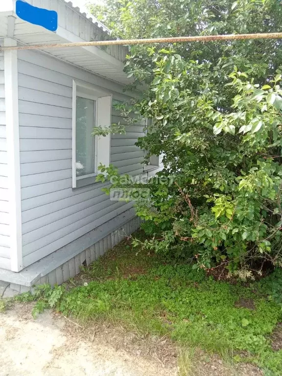 Дом в Новосибирская область, Искитимский район, Совхозный сельсовет, ... - Фото 1