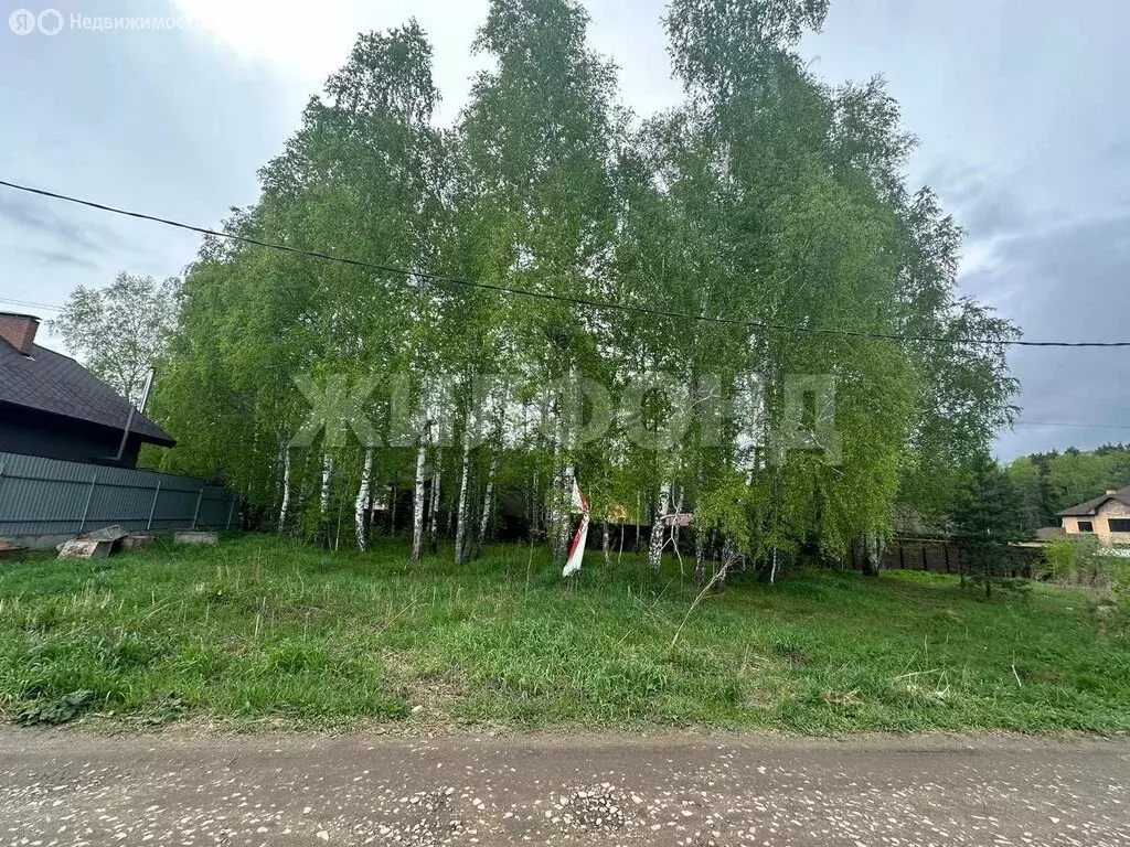 Участок в Мочищенский сельсовет, посёлок Озёрный, 1-й Лесной бульвар ... - Фото 1
