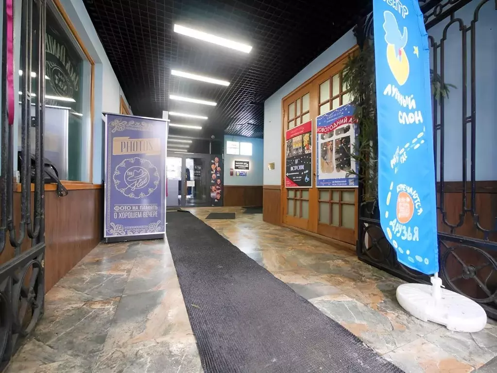 Помещение свободного назначения в Санкт-Петербург ул. Белинского, 9 ... - Фото 1