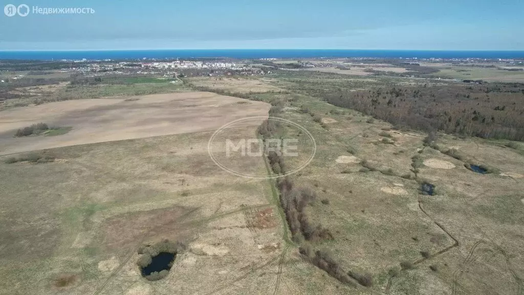Участок в Калининградская область, Зеленоградский муниципальный округ, ... - Фото 2