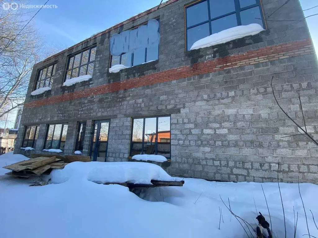 Помещение свободного назначения (248 м) - Фото 2