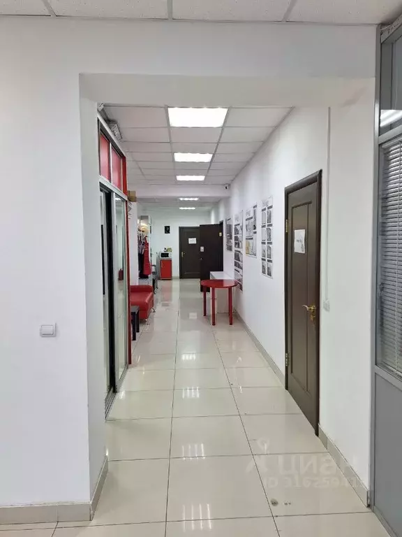 Офис в Оренбургская область, Оренбург Туркестанская ул., 39/3 (225 м) - Фото 1
