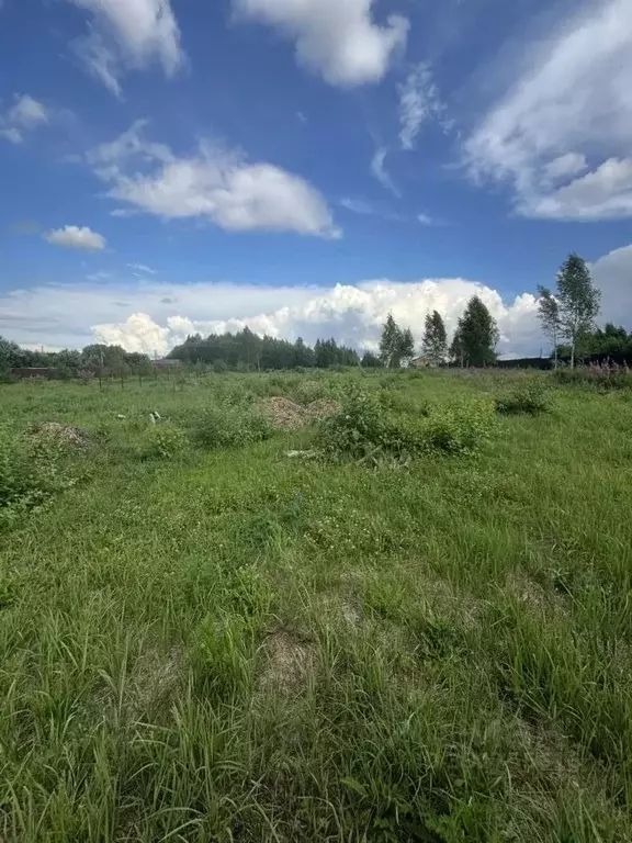 Участок в Московская область, Коломна городской округ, д. Борисовское  ... - Фото 2