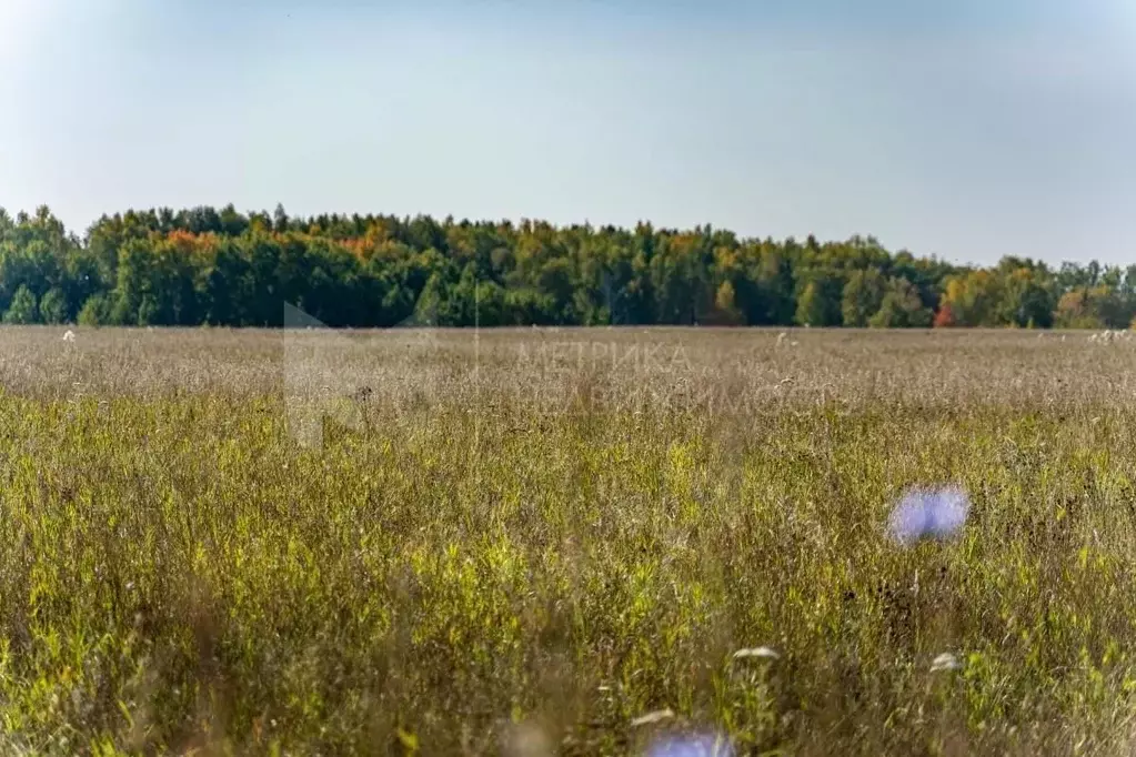 Участок в Тюменская область, Тюменский район, с. Горьковка  (7.5 сот.) - Фото 1