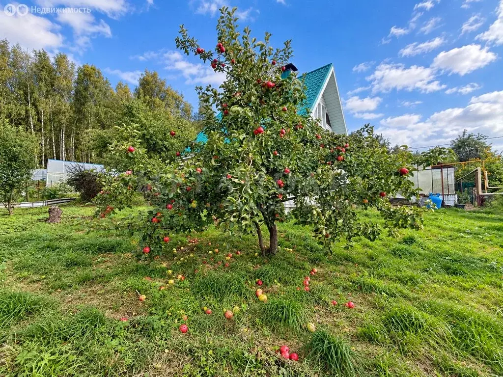 Дом в Миасс, СНТ Строитель-1, 195 (24 м) - Фото 2