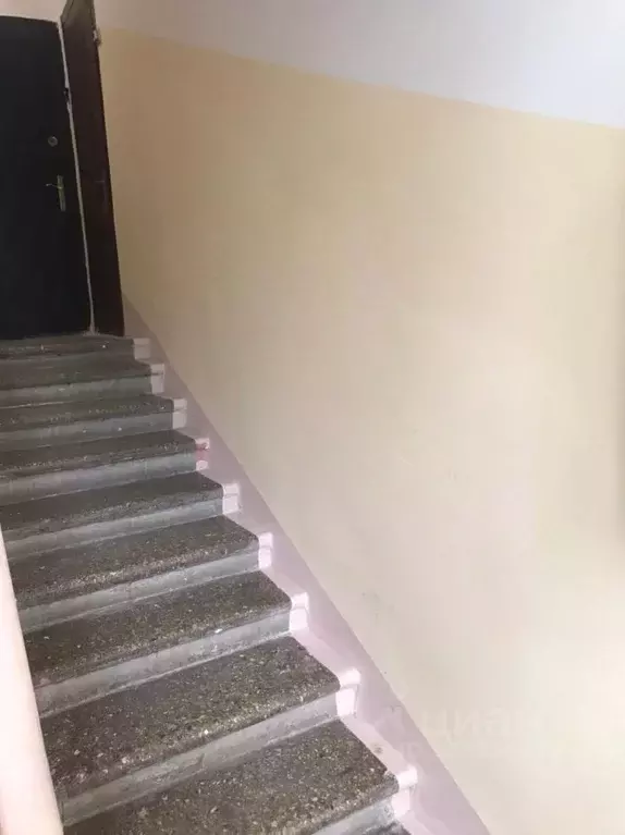 1-к кв. Московская область, Балашиха Северный мкр, 55 (32.0 м) - Фото 2