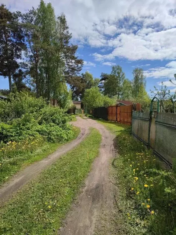 Участок в Ленинградская область, Приморск Ручеек СНТ,  (8.0 сот.) - Фото 0