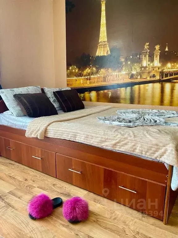 1-к кв. Пензенская область, Пенза проезд 3-й Рахманинова, 5 (31.0 м) - Фото 1