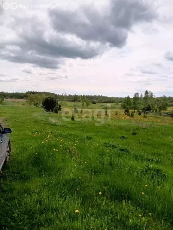 Участок в посёлок городского типа Пышма, улица Некрасова (20 м) - Фото 0