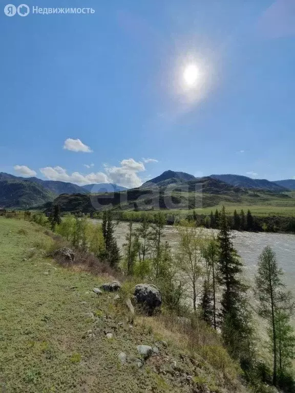 Участок в Чемальский район, село Куюс (80 м) - Фото 0