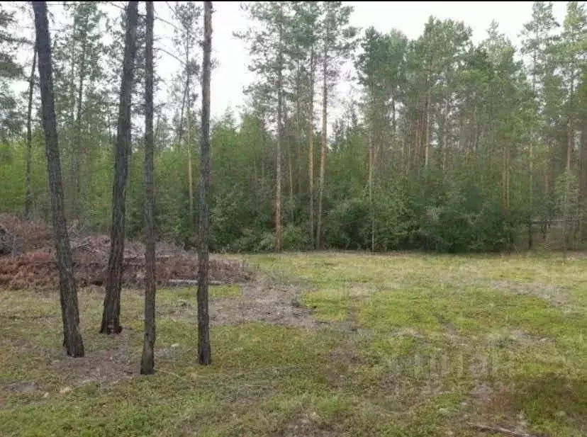 Участок в Саха (Якутия), Мегино-Кангаласский улус, Нижний Бестях пгт ... - Фото 1