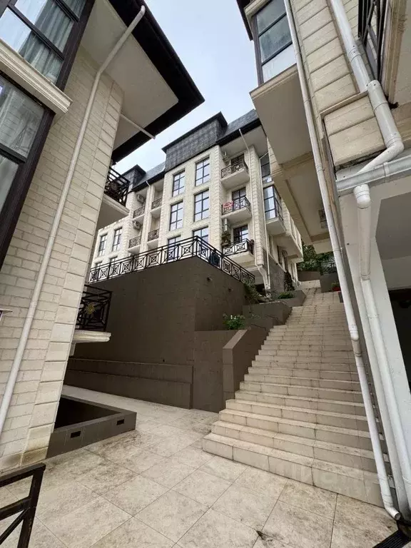 1-к кв. Краснодарский край, Сочи Девятка СНТ, 68А (31.0 м) - Фото 2