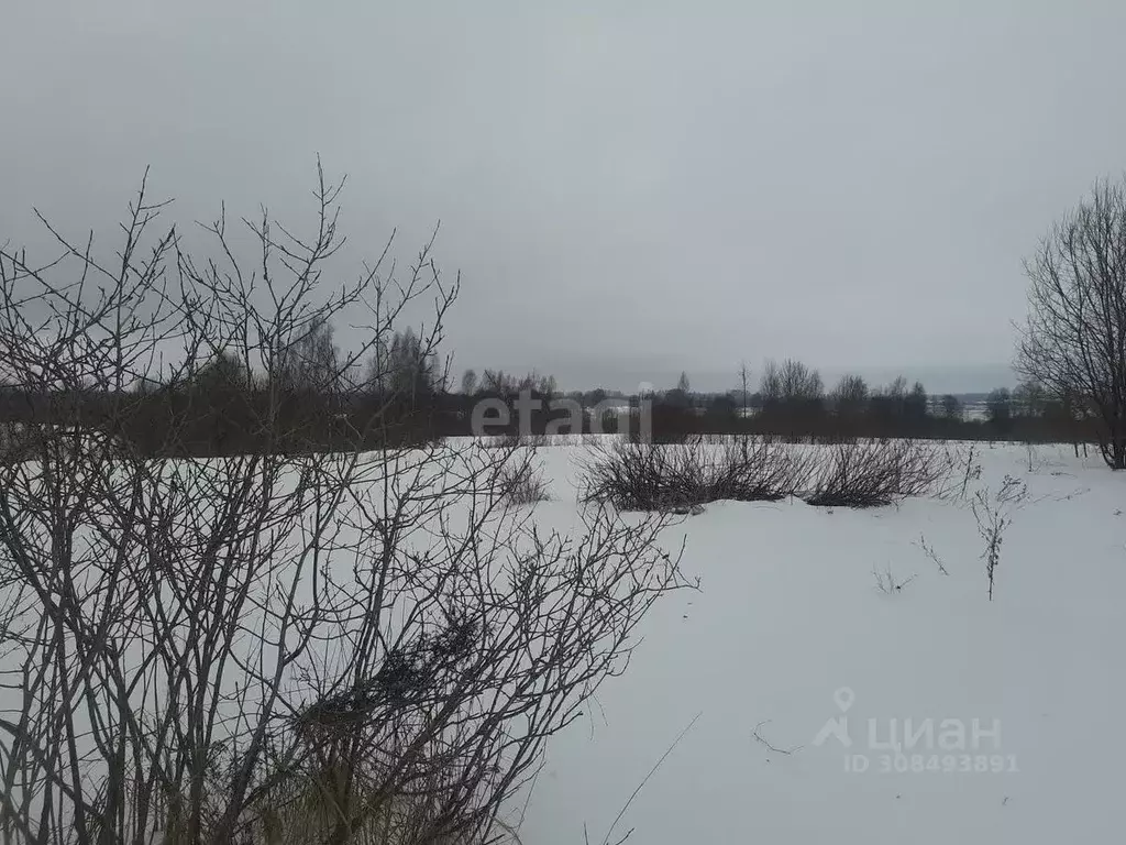 Участок в Псковская область, Островский район, Воронцовская волость, ... - Фото 1