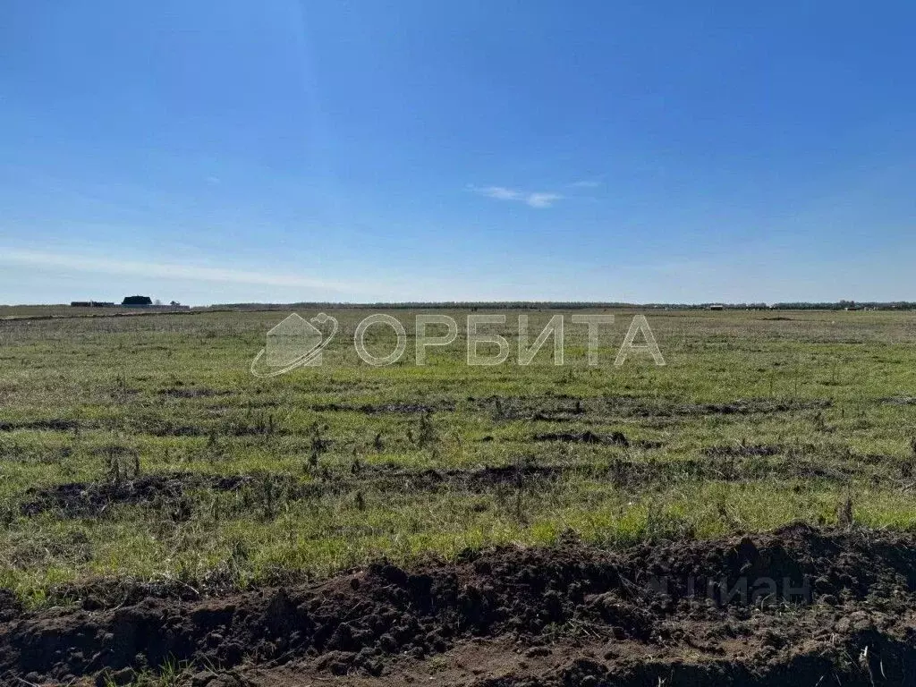 Участок в Тюменская область, Тюменский район, Винзили рп  (13.0 сот.) - Фото 1