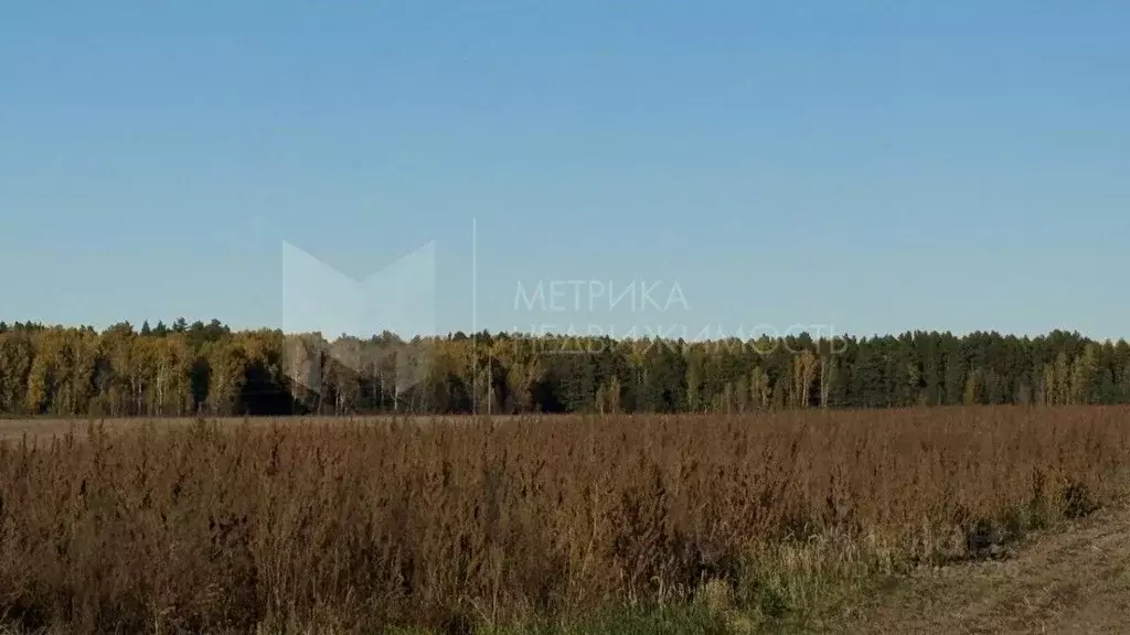 Участок в Тюменская область, Тюменский муниципальный округ, с. Каменка ... - Фото 1