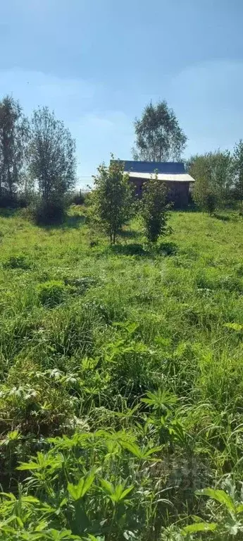 Участок в Московская область, Дмитровский муниципальный округ, Дмитров ... - Фото 1